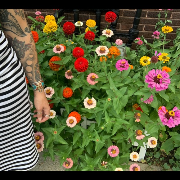 Meet your Posher, FanciMandi - Picture 3 of 3